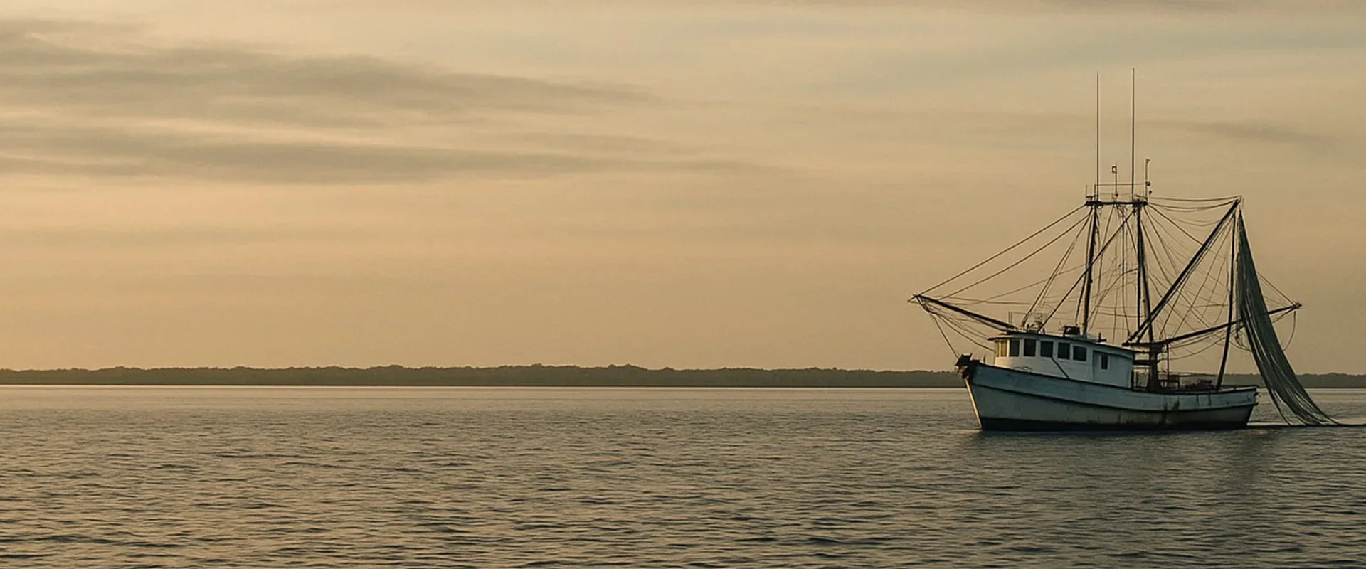 The Truth About Shrimp: Why Traceability Is America’s Seafood Reckoning